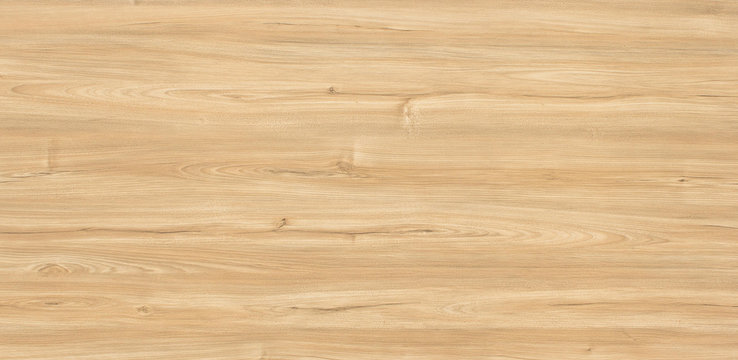 Wood oak tree close up texture background. Wooden floor or table with natural pattern