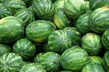 many striped large watermelons for sale