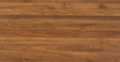 Wood oak tree close up texture background. Wooden floor or table with natural pattern