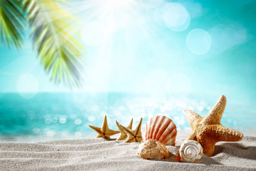 Summer shell on beach and sea landscape with palm and sun. 