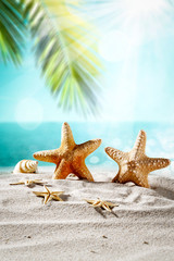 Fototapeta na wymiar Summer shell on beach and sea landscape with palm and sun. 