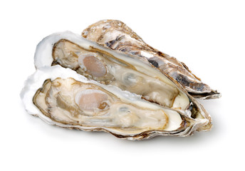 Fresh opened oyster on white background
