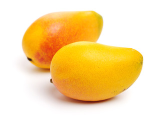 Mango on a white background
