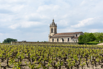 Vignoble à Margaux (Médoc, France), près de Bordeaux	