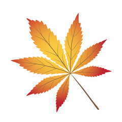 Bright red, yellow and brown autumn leaf on white, stock vector illustration