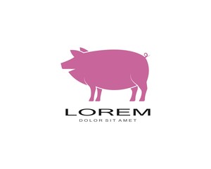 pig logo vector template