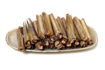 Razor clams isolated on white background.