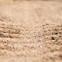 Background tire tracks of cars on the sand closeup. Part of the background is blurred.