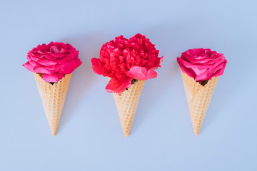 Ice Cream Cones with pink peony and roses on blue background, flat lay, minimalism