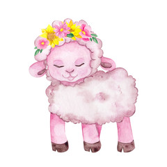 Cute farm lamb with flowers, watercolor hand draw baby illustration isolated on white background