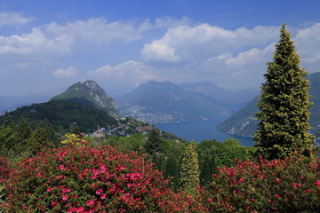 Parco San Grato nel Cantone Ticino con rododendri e vista lago di Lugano