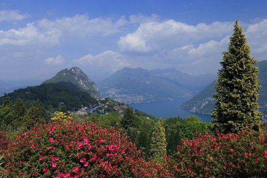 Parco San Grato nel Cantone Ticino con rododendri e vista lago di Lugano