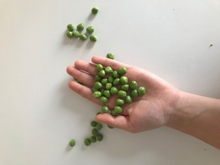 fresh green peeled peas in hand with white background. 