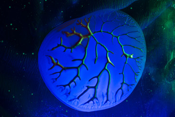 Naklejka na ściany i meble science fiction concept, alien microorganism microscopic view under ultraviolet light