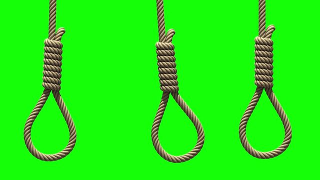 Hangman's nooses, 3D animation on green screen. Three ropes with knots for suicide or execution by hanging are swinging from side to side like a pendulums, seamless loop.