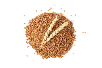 wheat and spikelets on a white background