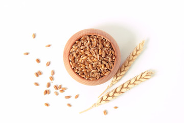 wheat and spikelets on a white background