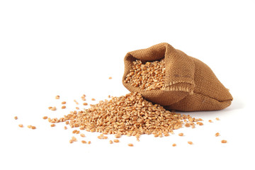 wheat and spikelets on a white background