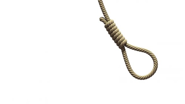 Hangman's noose on white background. A rope with a knot for suicide or execution by hanging, swings from side to side like a pendulum. Seamless loop 3D animation with alpha matte.