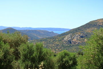 Olive plantations Crete, Greece, Europe