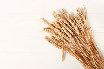 spikelets of wheat on a white background