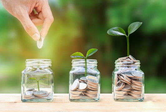 Money savings, investment, making money for future, financial wealth management concept. A man hand holding coin over stacked coins in glass jar and growing tree plant depicts. Fund growth and wealth.