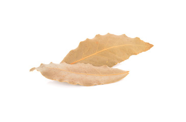 Fototapeta premium dried bay leaves on white background