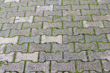 Walkway pattern in garden