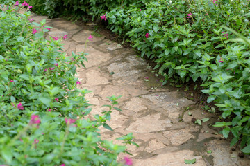 Stone Pathway in flowers garden with green plants,Thailand.