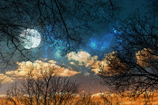 a night sky background with stars, moon and clouds through trees