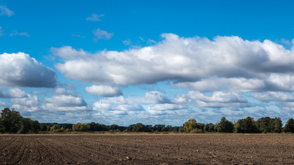 Fototapeta na wymiar Landwirtschaftliche Felder in Lachendorf