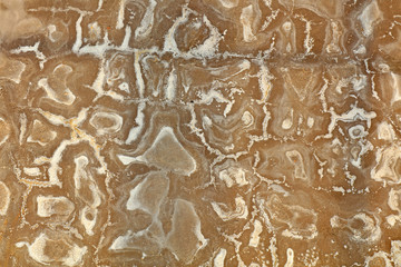 Salt and alkali texture on the wall of cement
