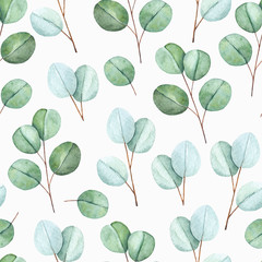 Watercolor floral seamless pattern with eucalyptus leaves and branches. Hand painted on white background. For design or background