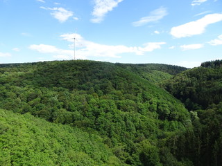 Windrad über dem Wald