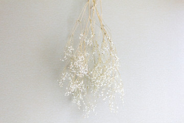 かすみ草のドライフラワー
