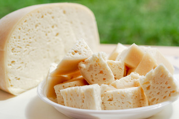 Traditional Romanian  Organic Chesse 