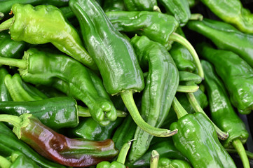 A heap of green chili peppers on a market in Spain.