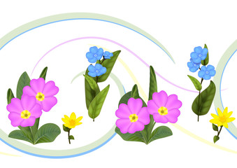  Forget-me-nots Primula, King&rsquo;s Cup flowering plants