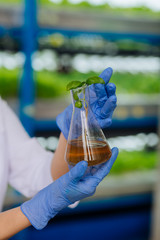 Close up of woman holding glass tube with little plant