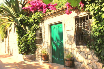 Beautiful narrow stone alley with tropical plants and bright red flowers in summer at resort of Italy in Europe