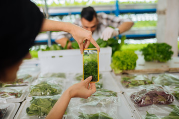 Dark-haired woman making photo of lettuce on smartphone