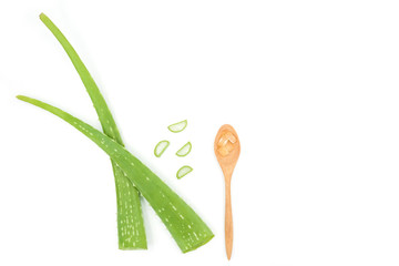 Fresh aloe vera on wooden spoon and aloe vera slice isolated on white background, Top view fresh green aloe vera with copy space