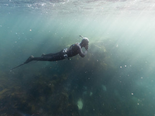 Fototapeta premium Freediving man in wetsuit exploring the wild underwater coast of Pembrokeshire whilst on a snorkeling beach holiday