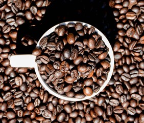 Coffee bean in cup - vintage style