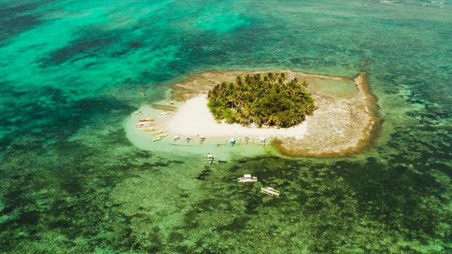 Tropical island with sand beach, palm trees by atoll with coral reef, top view. Guyam island, Philippines, Siargao. Summer and travel vacation concept.