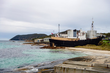 Fototapeta premium Old historic ship on a beach serving as a whaling station museum near Western Australia
