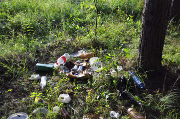 Garbage in forest. People illegally thrown garbage into forest.