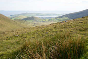 lush view of the mountains in county kerry