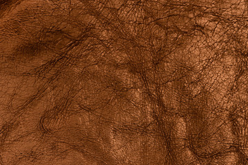 Close-up brown leather texture to background. 
