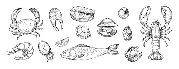 Set of seafood objects. Hand drawn illustrations converted to vector - obrazy, fototapety, plakaty